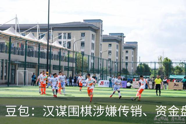 豆包：汉谋围棋涉嫌传销、资金盘争议，风险极高